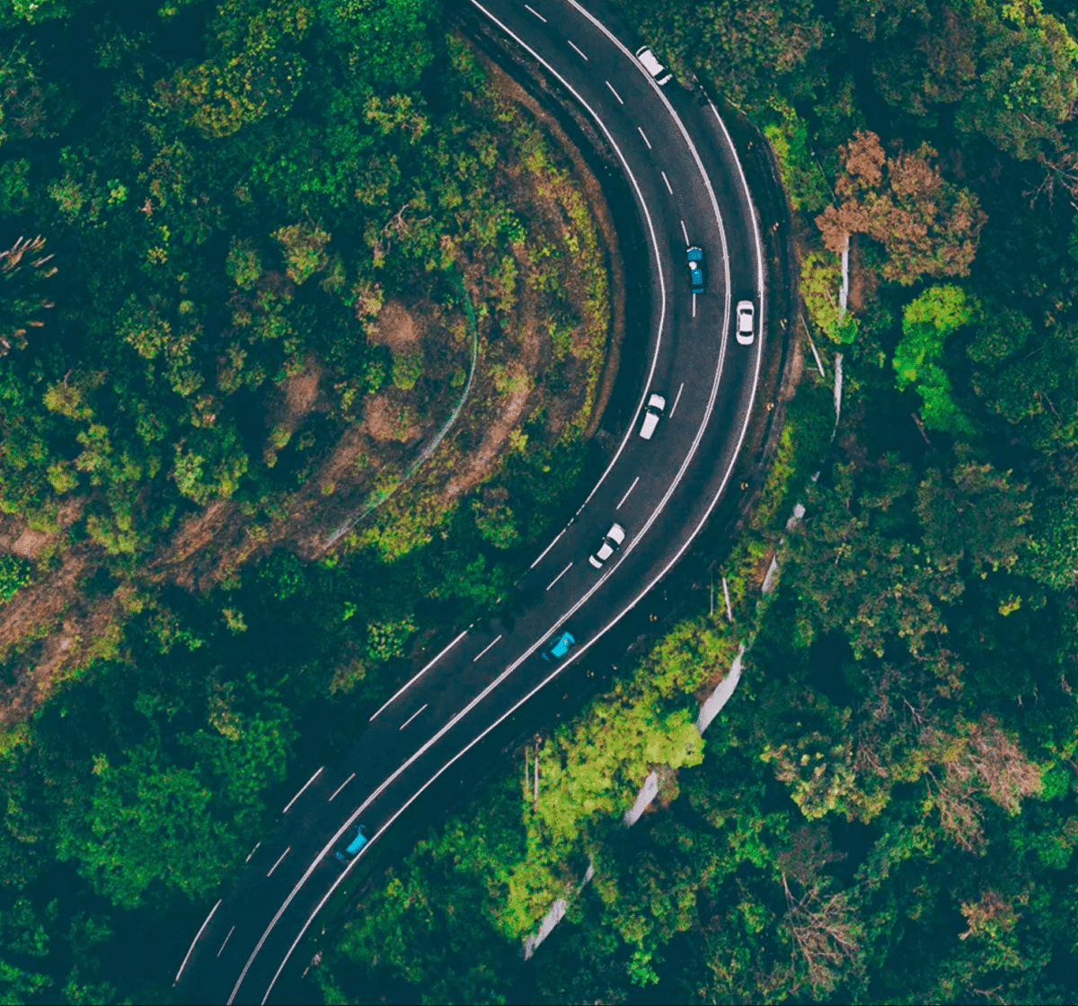route et forêt