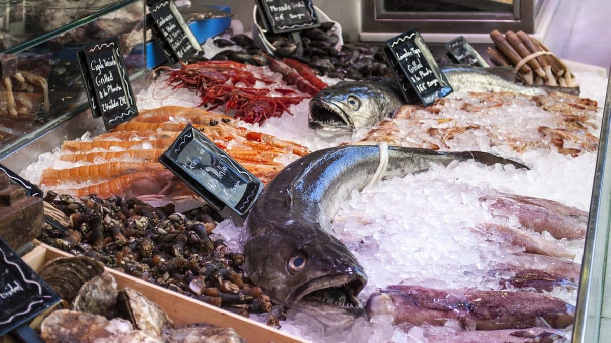 Comment choisir son étal de poissonnerie ?