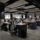 people doing office works